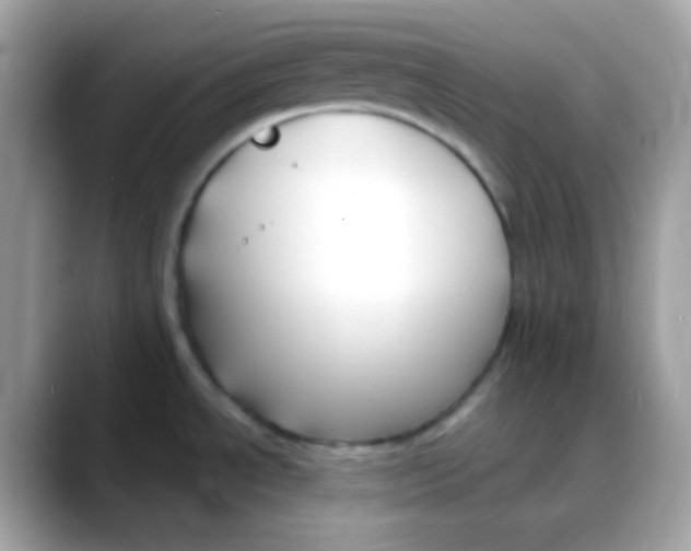 X0000088041534200706011315