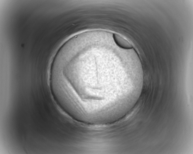 X0000088041535200706011315