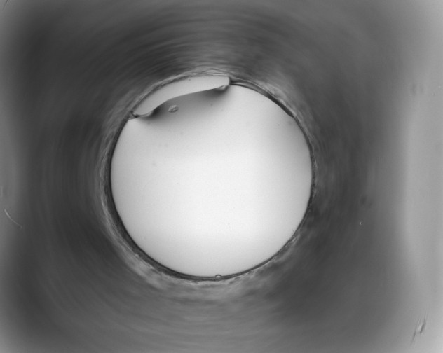 X0000088040001200706081618