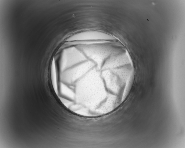 X0000088040002200706081618