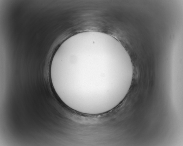 X0000088040004200706081618