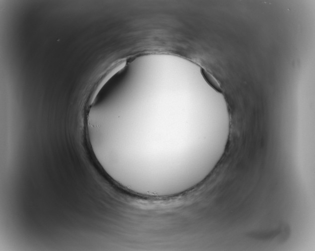 X0000088040005200706081618