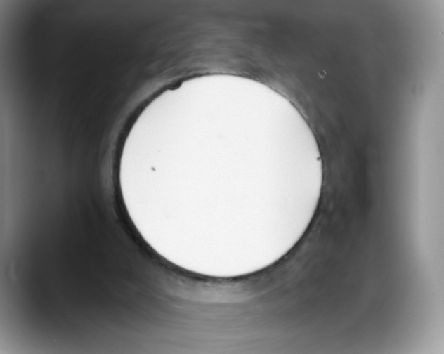 X0000088040008200706081618