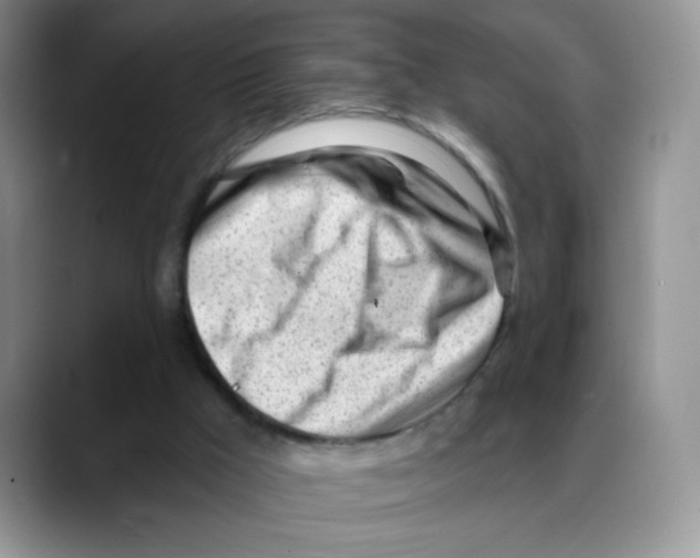 X0000088040009200706081618