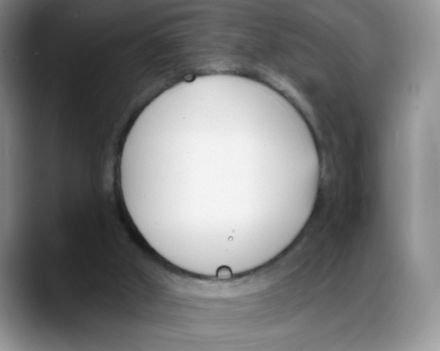 X0000088040010200706081618