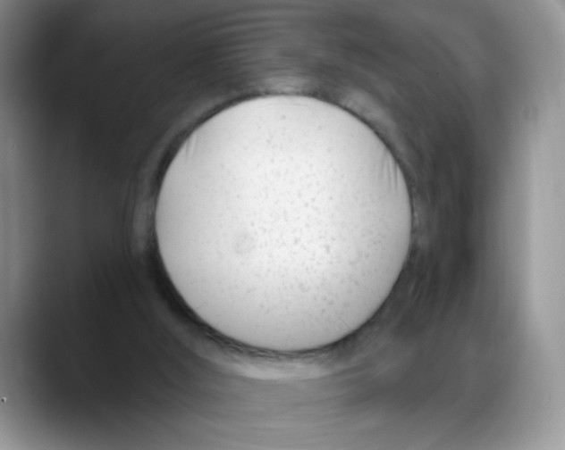 X0000088040012200706081618