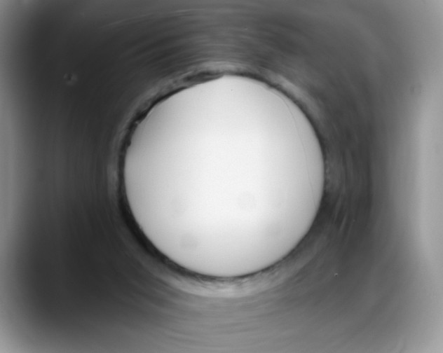 X0000088040015200706081618