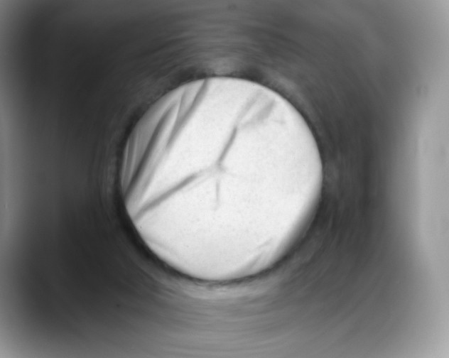 X0000088040018200706081618