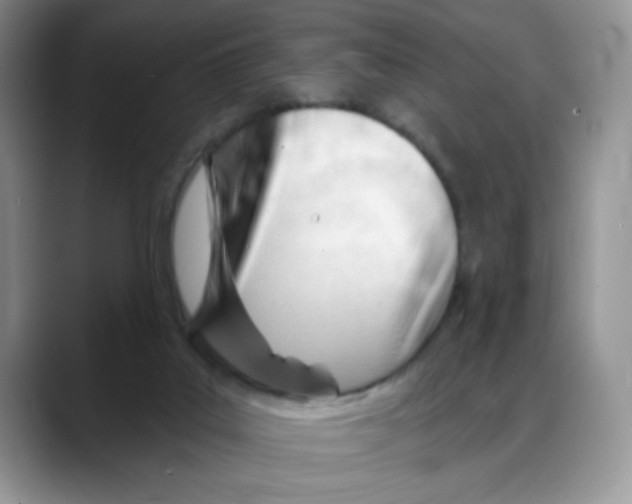 X0000088040019200706081618