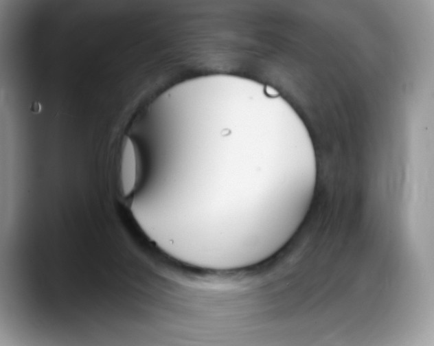 X0000088040020200706081618