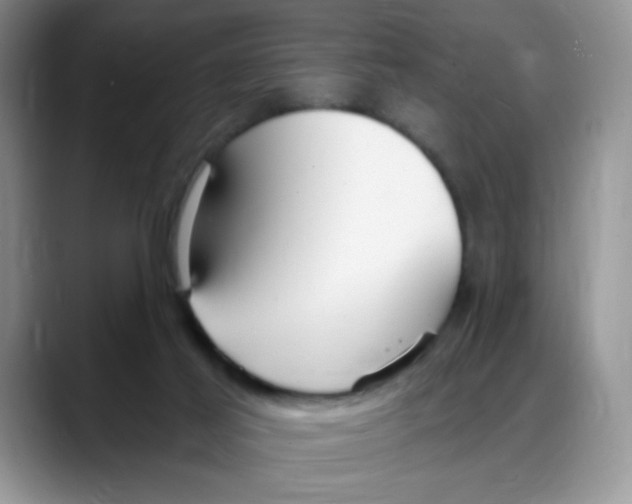 X0000088040021200706081618