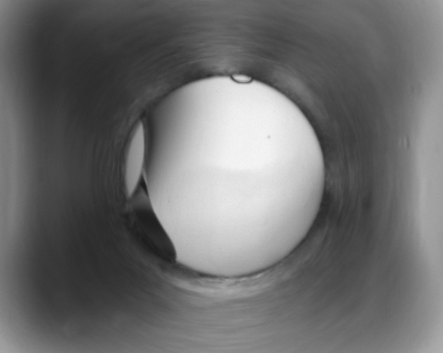 X0000088040023200706081618