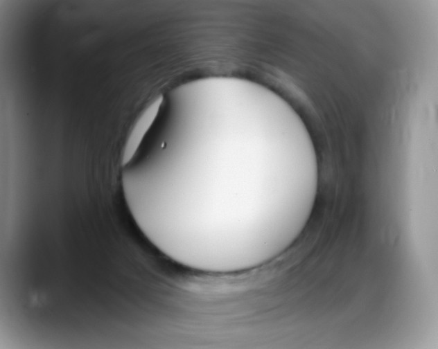 X0000088040025200706081618