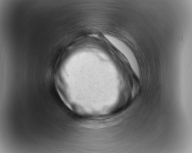 X0000088040029200706081618