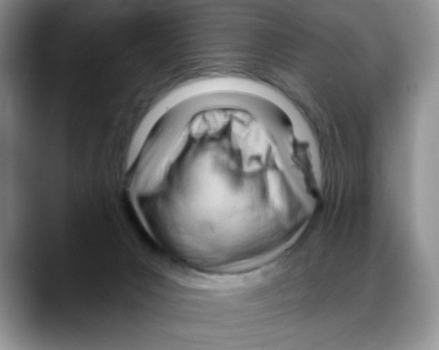 X0000088040031200706081618