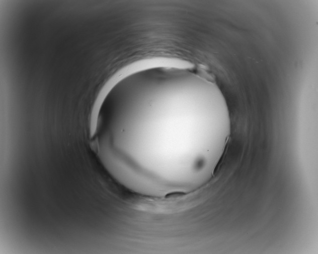 X0000088040033200706081618