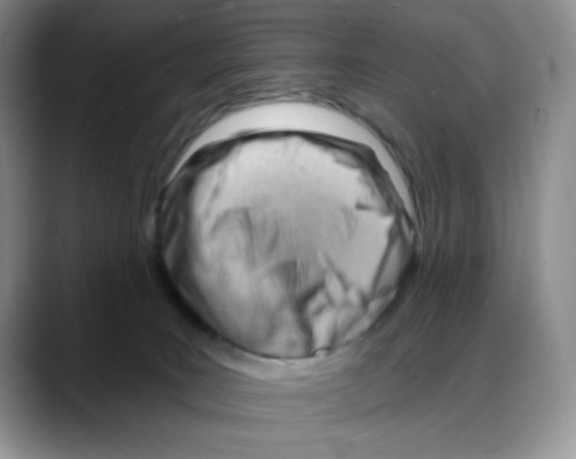 X0000088040035200706081618