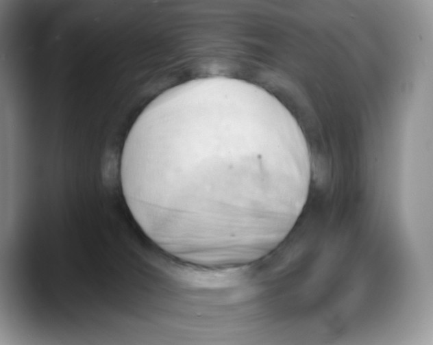 X0000088040036200706081618