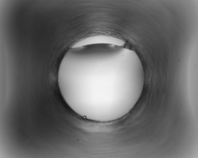 X0000088040040200706081618