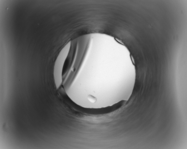 X0000088040041200706081618