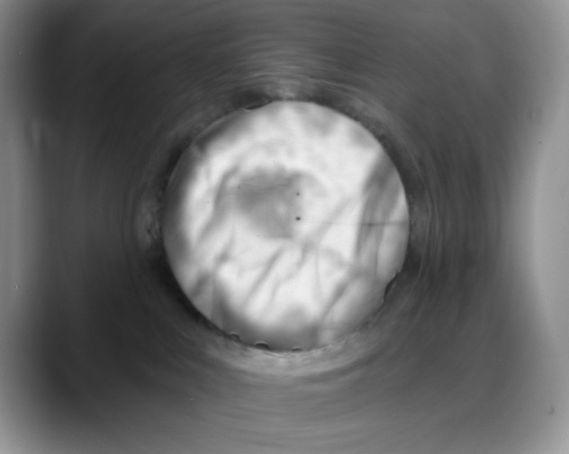 X0000088040043200706081618