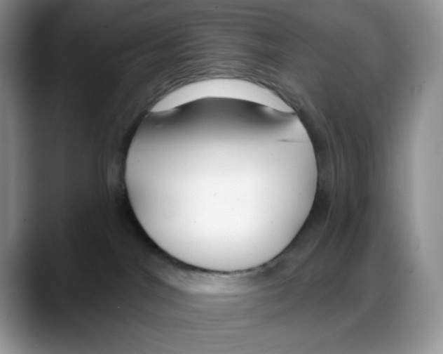 X0000088040044200706081618