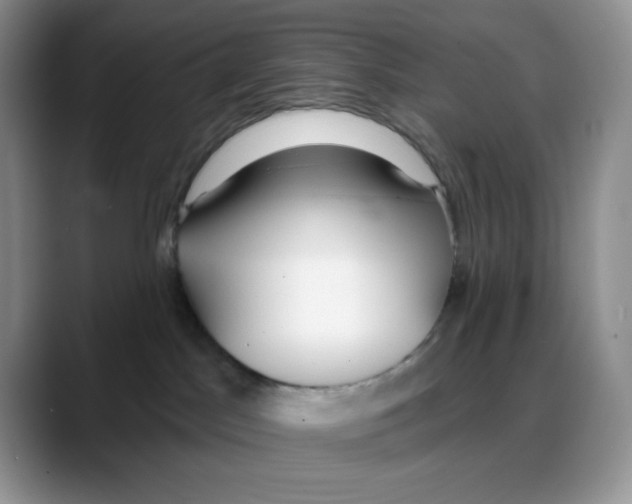 X0000088040045200706081618