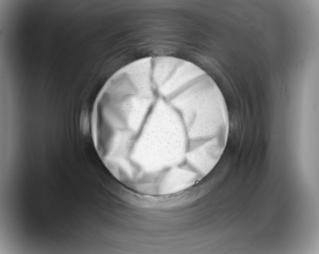 X0000088040046200706081618