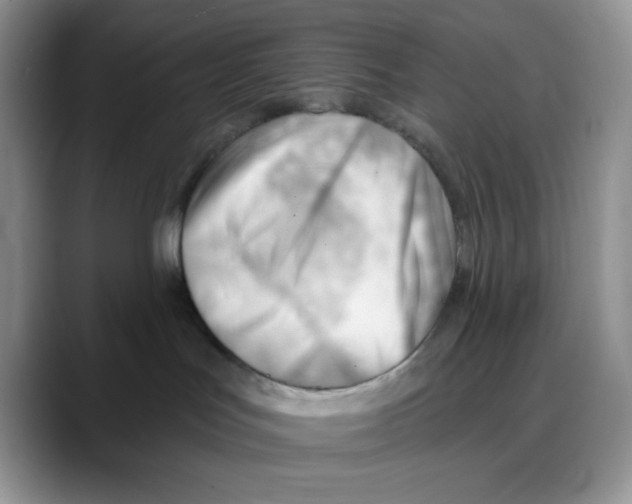 X0000088040047200706081618