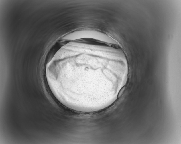 X0000088040049200706081617