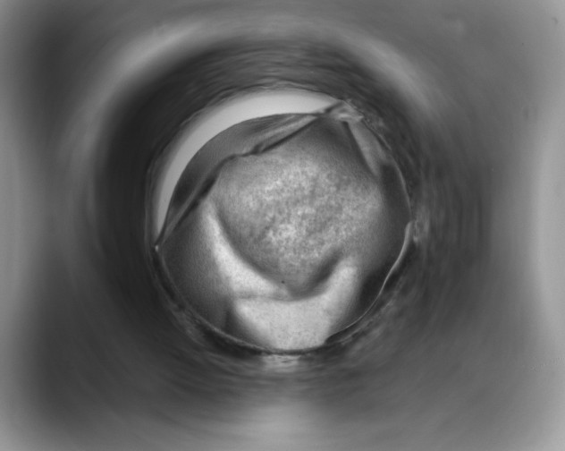 X0000088040052200706081617