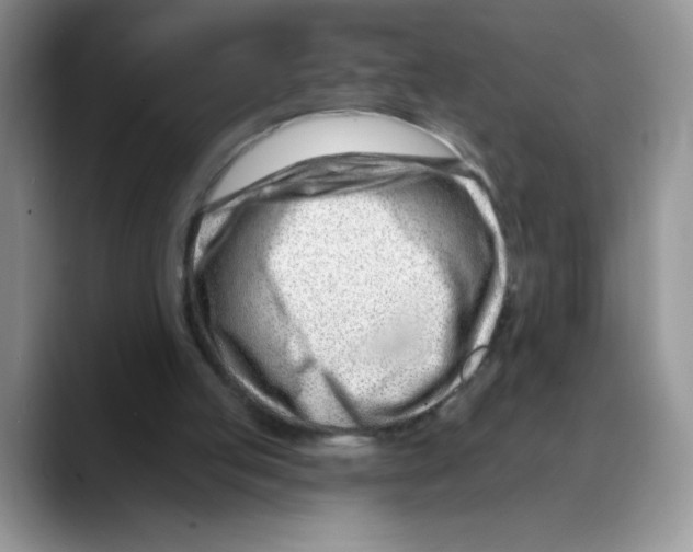 X0000088040053200706081617