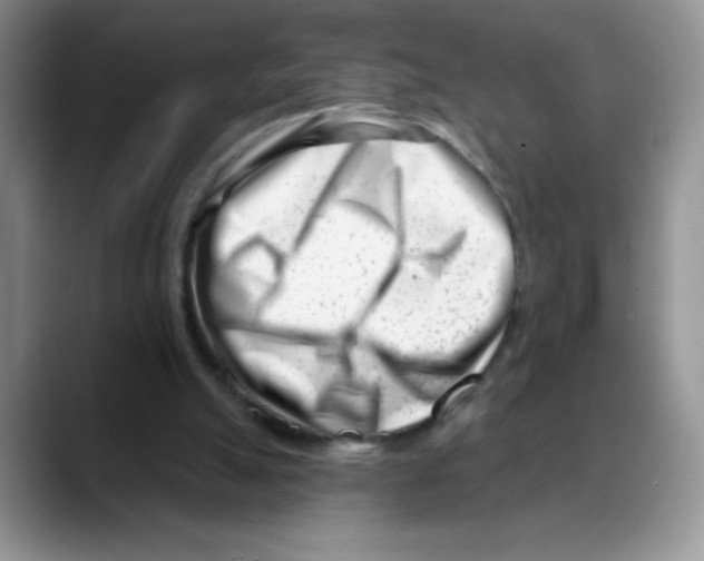 X0000088040055200706081617