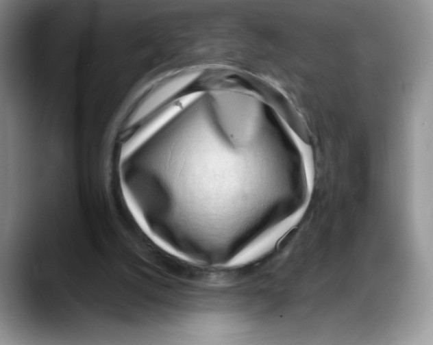 X0000088040056200706081617