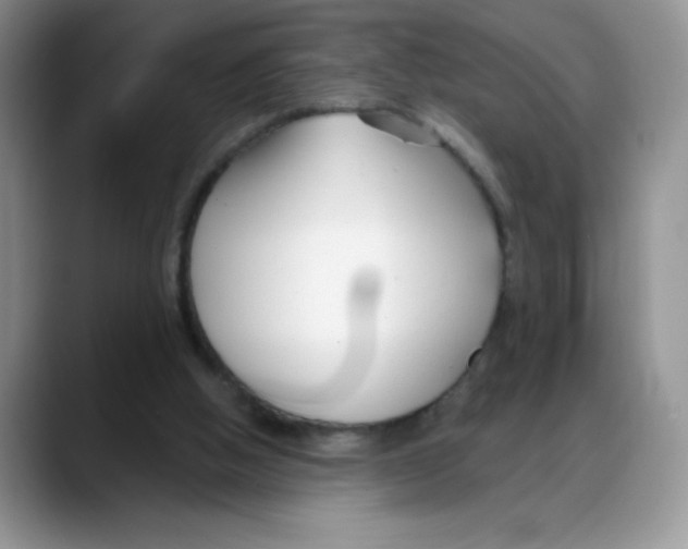 X0000088040058200706081617