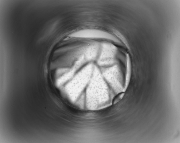 X0000088040059200706081617