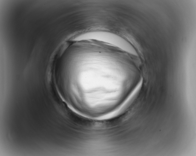 X0000088040060200706081617