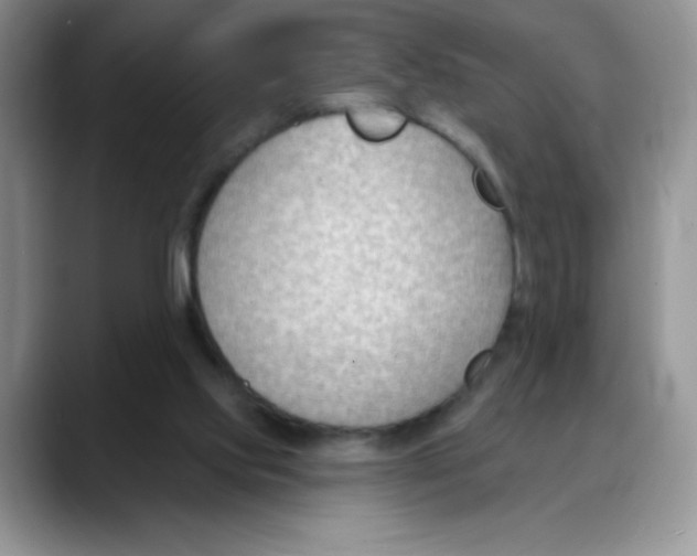 X0000088040061200706081617