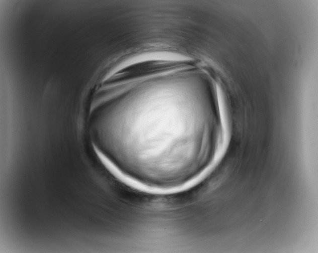 X0000088040064200706081617