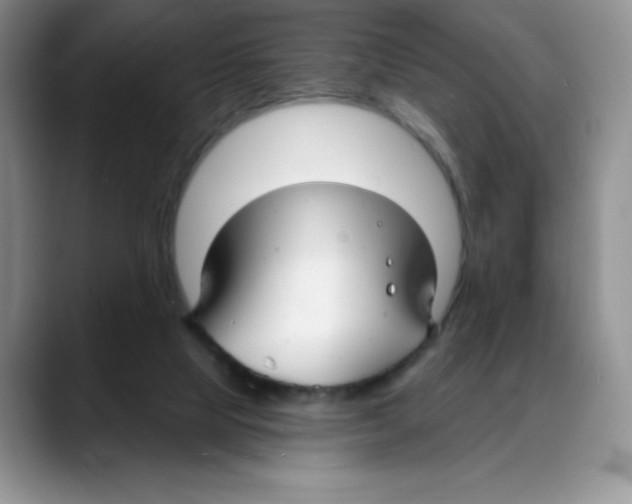 X0000088040065200706081617