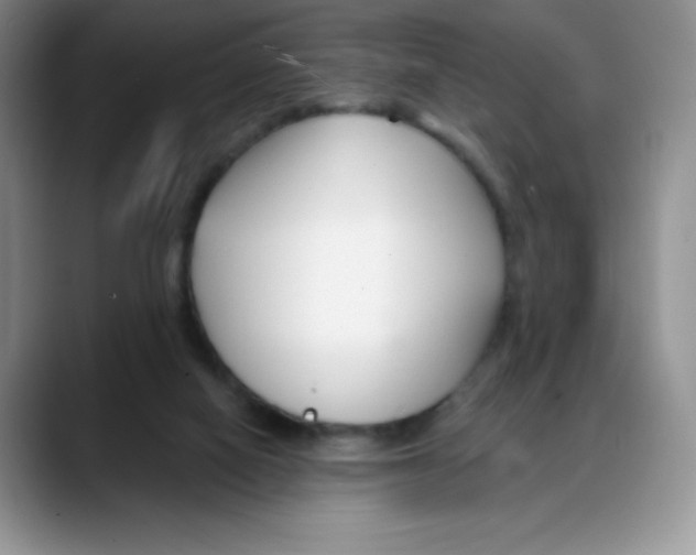 X0000088040066200706081617