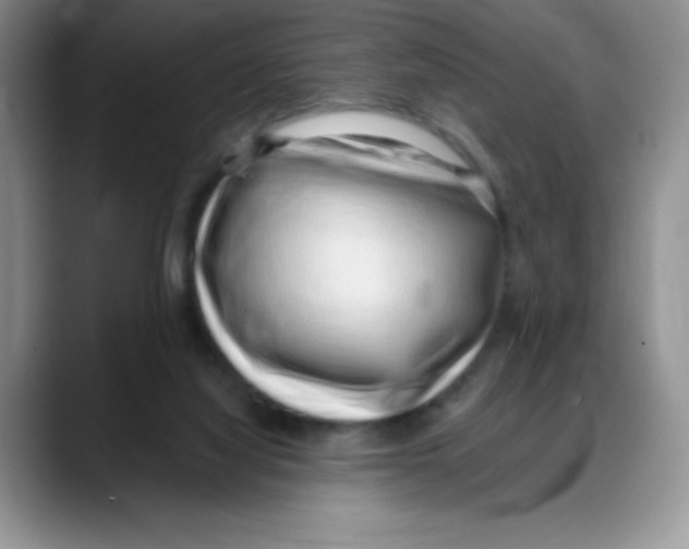 X0000088040068200706081617