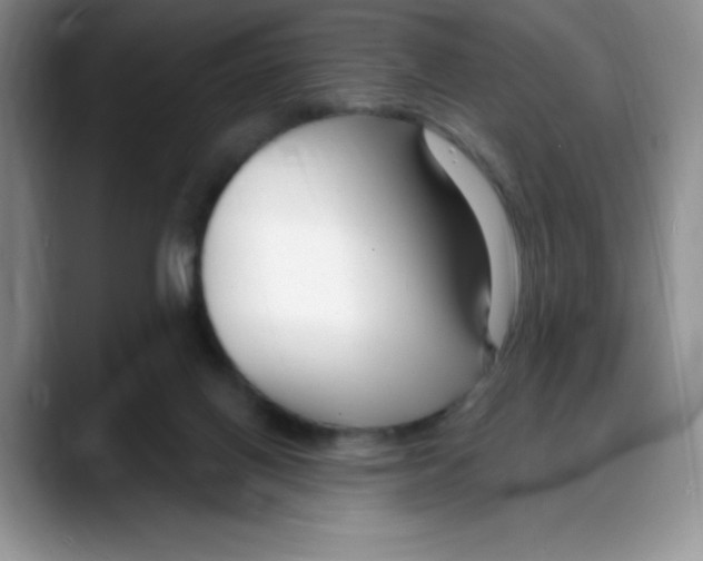 X0000088040070200706081618