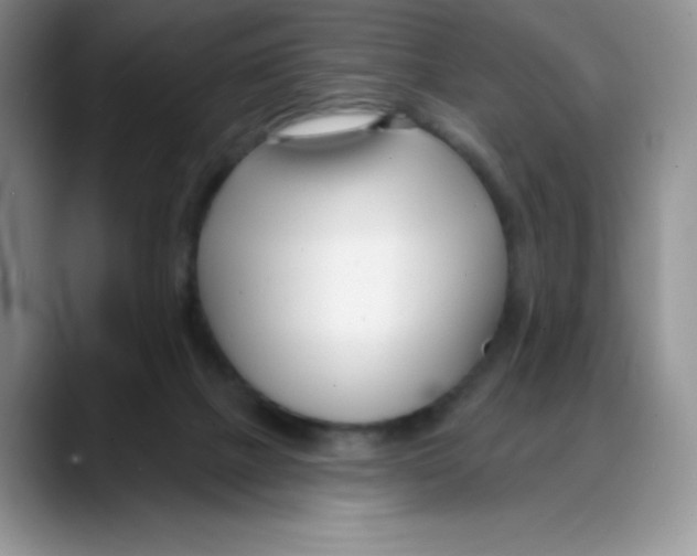 X0000088040073200706081618