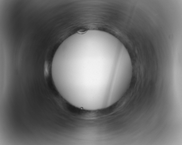 X0000088040075200706081618