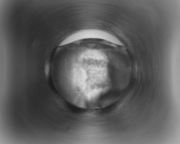 X0000088040076200706081618