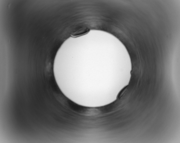 X0000088040087200706081618