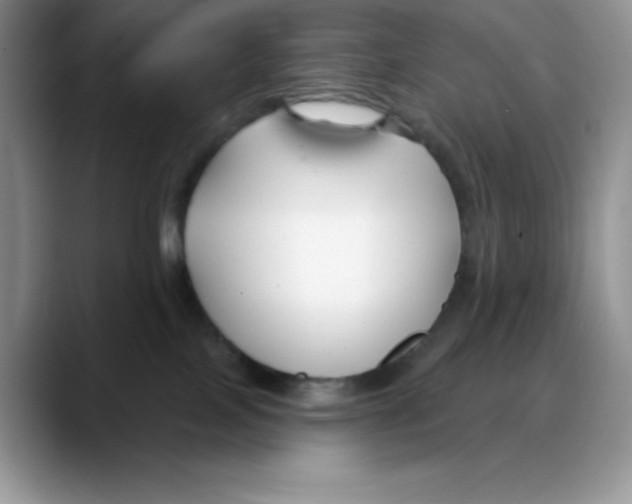 X0000088040089200706081618