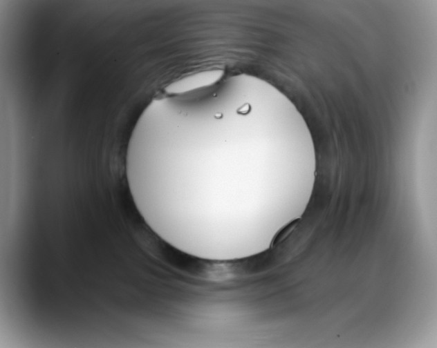 X0000088040091200706081618