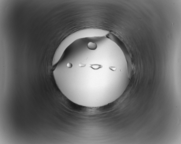 X0000088040093200706081618